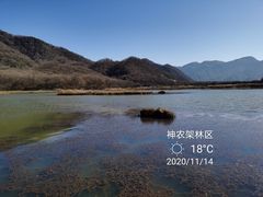 -大九湖