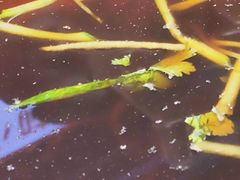 -堂堂小伙夫·辽宁小吃大排档(京西大悦城店)