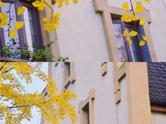 -成都南湖公园