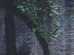 -知美术馆