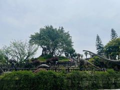 -自贡恐龙博物馆