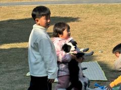 -风云岭森林公园