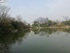 -桃花岛景观公园