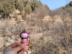 -龙洞风景区-藏龙涧