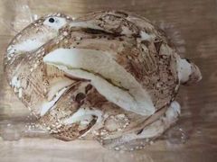 -小闺女儿肉龙(西湖道店)