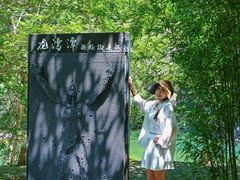 -龙湾潭国家森林公园