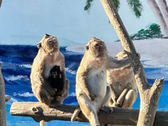 -西霞口神雕山野生动物世界