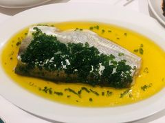 葱油蒸白水鱼-玫瑰厅上海菜(兴国路店)