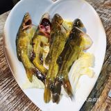 这家的🐸蛙也太嫩太好吃了吧[色][色]