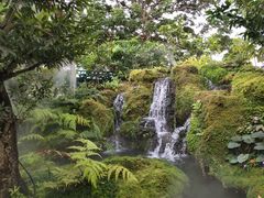 -Chom Cafe and Restaurant