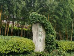 -十八棵（老龙井）御茶园(老龙井店)