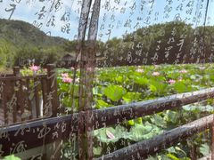 -兰亭风景区