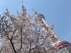 -东方明珠广播电视塔