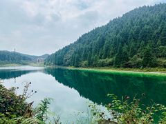 -武陵山森林公园