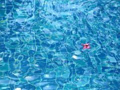 -三亚海棠湾万丽度假酒店