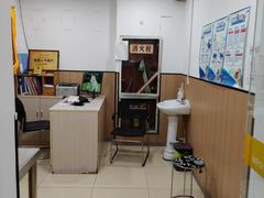 -米苏动物医院·犬猫专科·骨科外科内窥镜