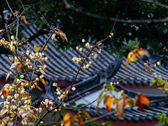 -成都杜甫草堂博物馆