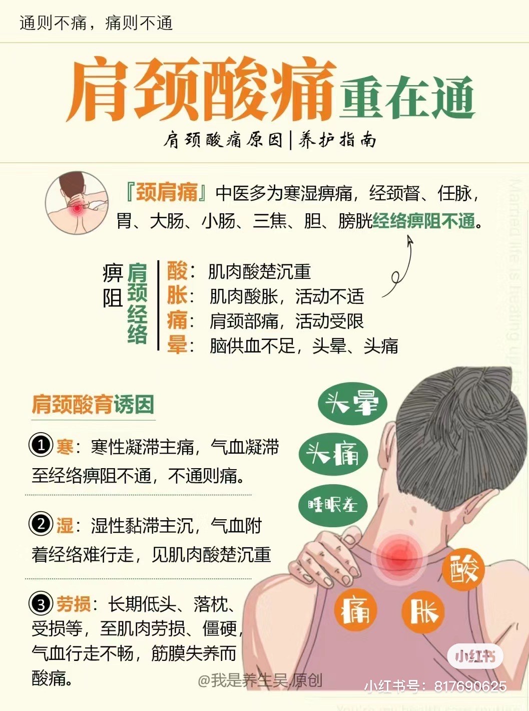 脖子胆经图片