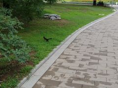 -北京植物园-展览温室