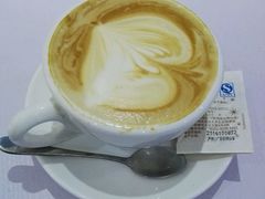 -喵的天空名猫咖啡馆·撸猫·猫舍·用品