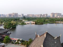 -眉山湿地公园(东坡区)