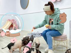 -猪盟咖啡店(玖洲道店)