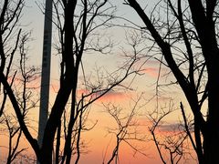 -黄海国家森林公园