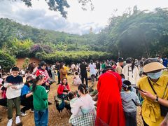 -西双版纳勐泐文化旅游区