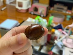 桂花糖炒栗子-高记福桂桂花糖炒栗(鼓楼店)