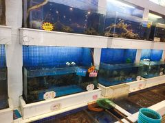 -益利大酒楼(井岸店)