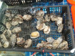 -鑫朱雀农贸批发市场