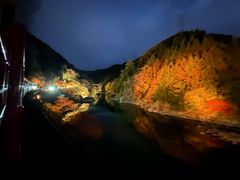 -岚山嵯峨野观光小火车