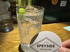 -SPEYSIDE 威士忌&鸡尾酒吧
