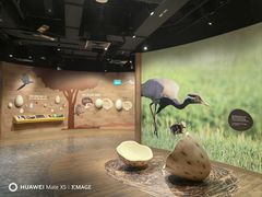 -新加坡飞禽公园