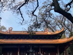-普陀山风景名胜区-法雨禅寺