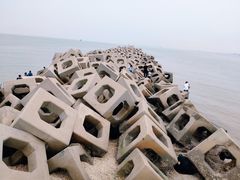 -东疆建设开发纪念公园