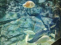 -泉城欧乐堡海洋极地世界