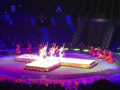 -珠海横琴长隆《卡卡虎奇遇记》