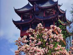 -塔子山公园