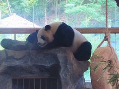 -云南野生动物园