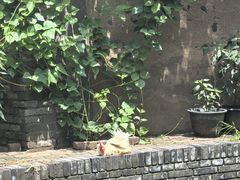 -春风习习