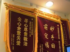 -悦宠凯宝动物医院·牙科·皮肤科(朝阳北路店)