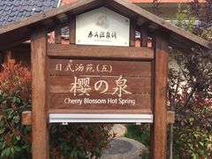 -徂徕山森林康养度假谷温泉