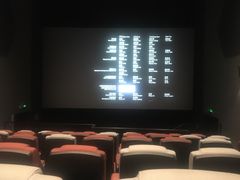 -星河寰宇IMAX影城(星河WORLD·COCO Park店)