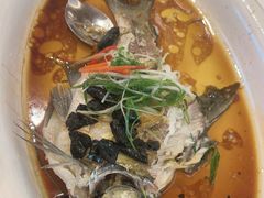 -陶缘一号·四季缘·老字号顺德菜·户外婚礼家宴(西滘店)