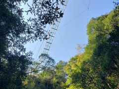 -藏龙百瀑风景区