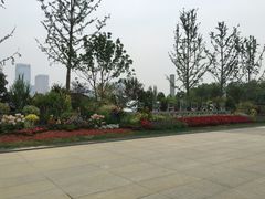-映月湖中央公园