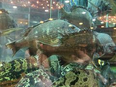 -叙亨轩海鲜火锅