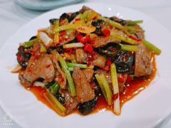 -蓉城小厨·四川味道(浙港国际店)