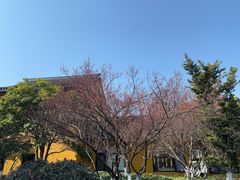 -圆通寺